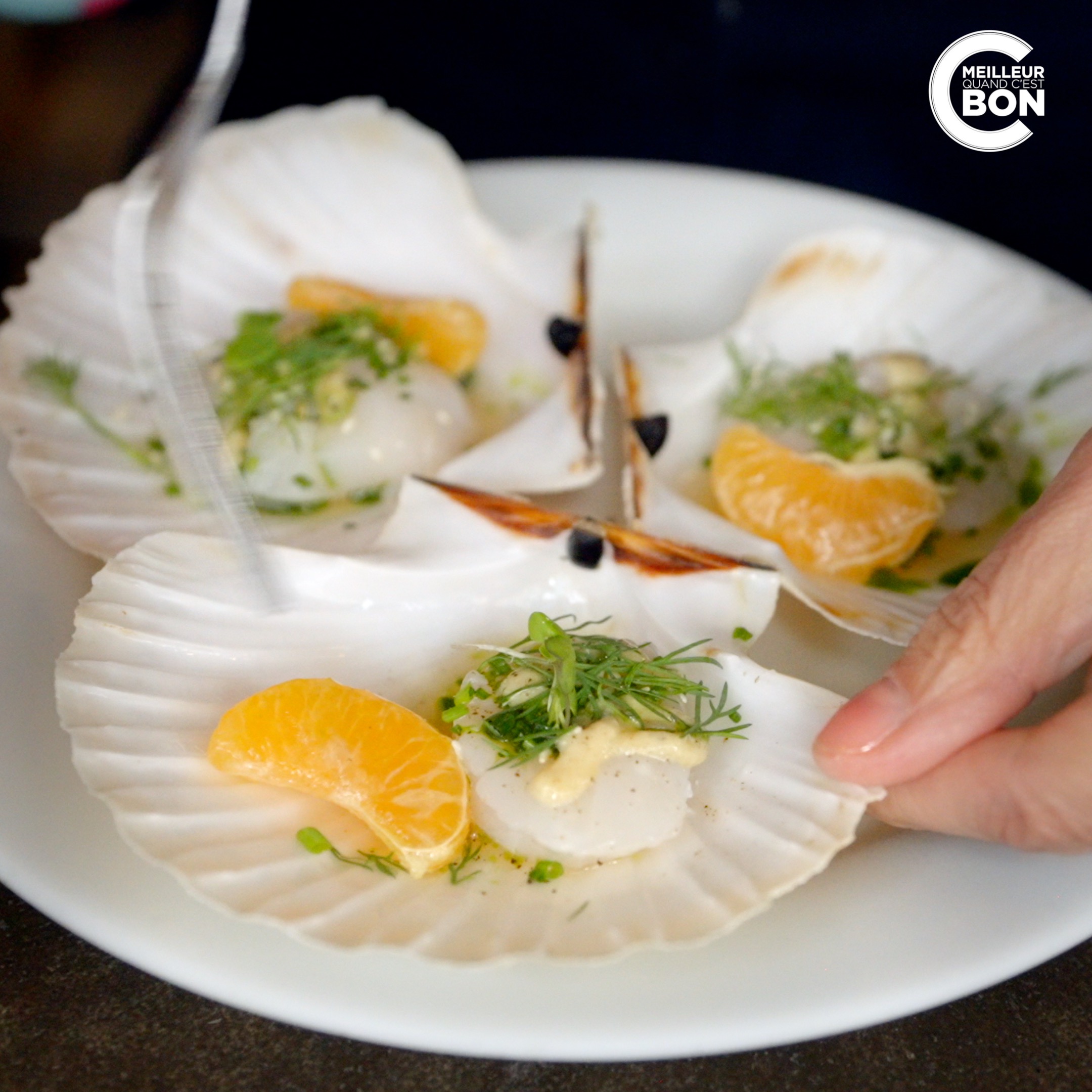 Lire la suite à propos de l’article Quedubon